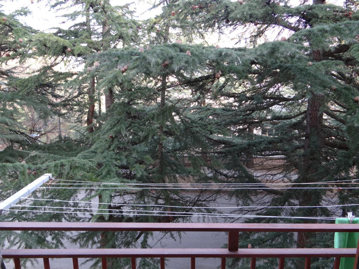 Dilijan Apartments Buitenkant foto